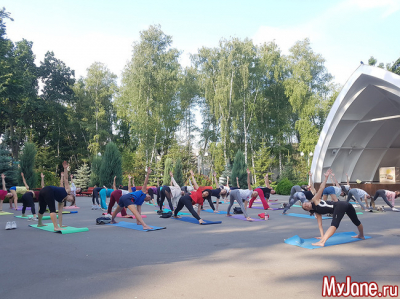 Йога для начинающих: скрутки из положения &laquo;стоя&raquo;
