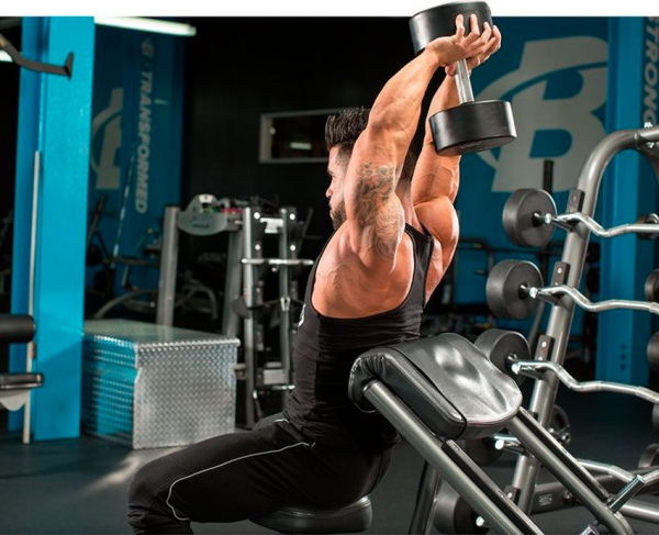 Французский жим с гантелей стоя или сидя Французский жим с гантелей стоя или сидя