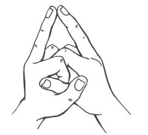 Какие мудры делать для успеха и удачи во всем? Какие мудры делать для успеха и удачи во всем?