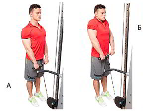 Годовая программа по набору массы от Men&rsquo;s Health. Этап 4. Часть 2