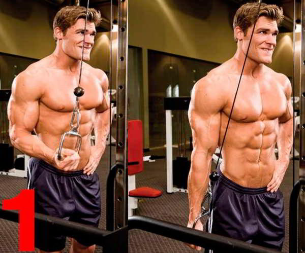 Разгибание руки на верхнем блоке стоя Разгибание руки на верхнем блоке стоя