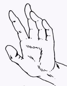 Какие выполнять мудры для почек?