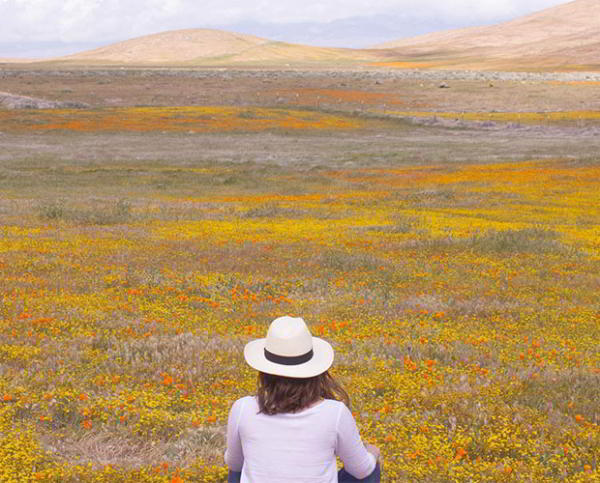 Думайте о смерти, чтобы почувствовать жизнь Думайте о смерти, чтобы почувствовать жизнь