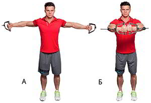 Годовая программа по набору массы от Men&rsquo;s Health. Этап 4. Часть 2