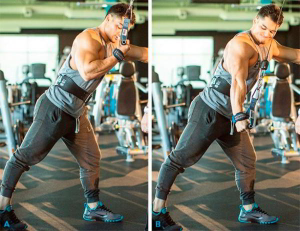 Разгибание руки на верхнем блоке стоя Разгибание руки на верхнем блоке стоя