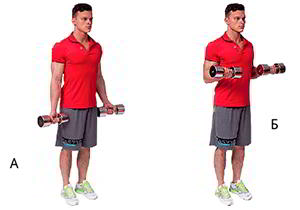 Годовая программа по набору массы от Men&rsquo;s Health. Этап 4. Часть 2