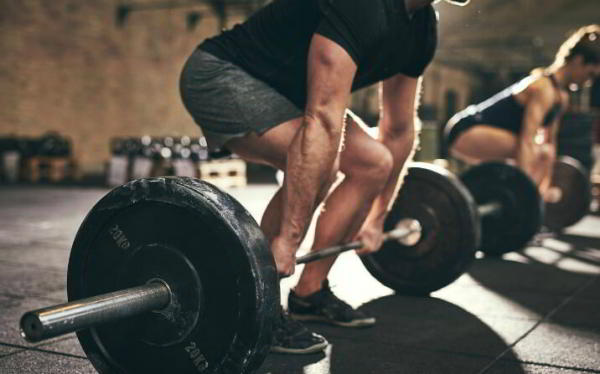 Протеин для набора мышечной массы: лучше выбрать белковые продукты или спортпит?