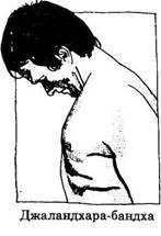 Секреты выполнения Джаландхара бандхи (горловой замок) для начинающих практиков Секреты выполнения Джаландхара бандхи (горловой замок) для начинающих практиков