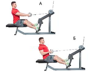 Годовая программа по набору массы от Men&rsquo;s Health. Этап 4. Часть 2