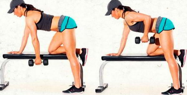 Программы тренировок для девушек Программы тренировок для девушек