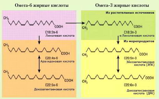 Ненасыщенные жирные кислоты омега-3-6-9 Ненасыщенные жирные кислоты омега-3-6-9