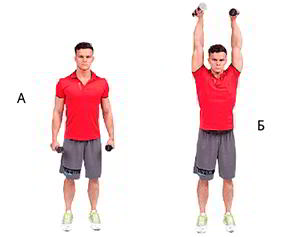 Годовая программа по набору массы от Men&rsquo;s Health. Этап 4. Часть 2