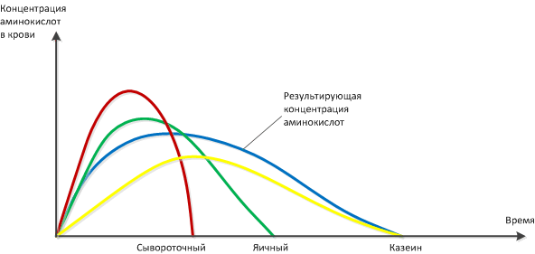 Сывороточный протеин отзывы – правда, или…? Сывороточный протеин отзывы – правда, или…?