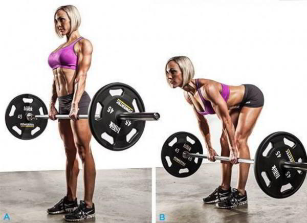 Программы тренировок для девушек Программы тренировок для девушек