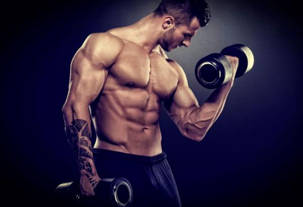 Программа тренировок для начинающих Программа тренировок для начинающих