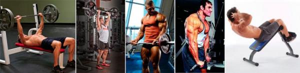 Программа тренировок для начинающих Программа тренировок для начинающих