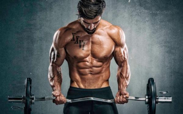 Программа тренировок для начинающих Программа тренировок для начинающих