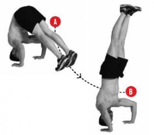 Тренировки Конора Макгрегора: 8 упражнений от легенды UFC Тренировки Конора Макгрегора: 8 упражнений от легенды UFC