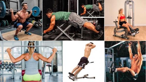 Программа тренировок для начинающих Программа тренировок для начинающих