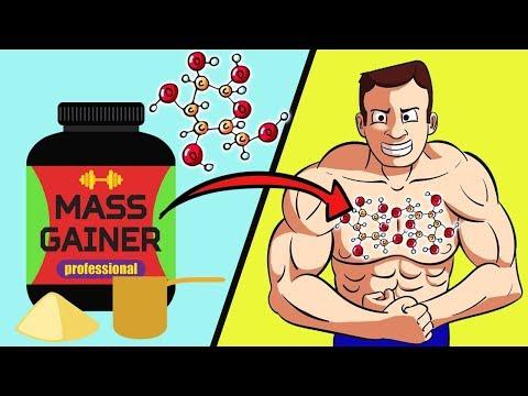 Что лучше креатин или протеин?