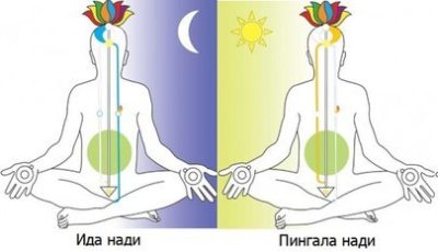 Важное о главных энергетических каналах или Нади: Сушумна, Ида и Пингала