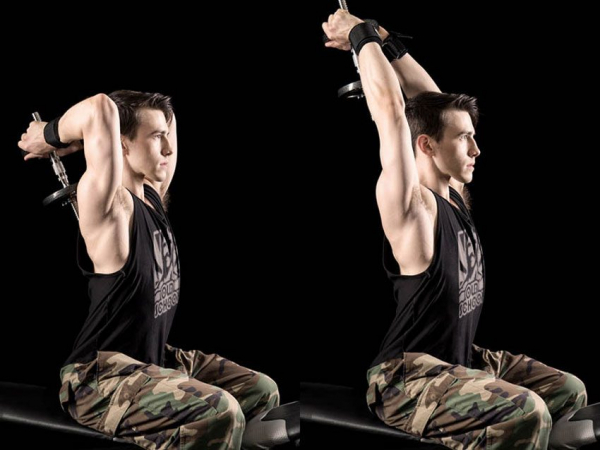 Французский жим с гантелей стоя или сидя Французский жим с гантелей стоя или сидя