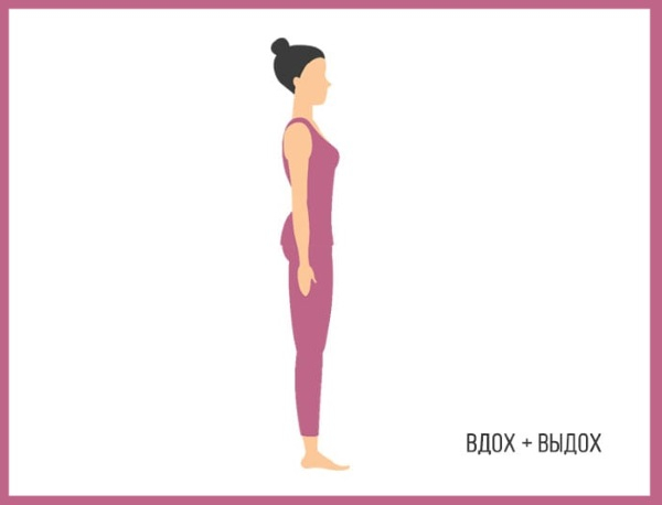 Приветствие Солнцу комплекс упражнений для начинающих. Польза йоги, как делать Приветствие Солнцу комплекс упражнений для начинающих. Польза йоги, как делать