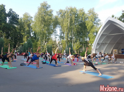 Йога для начинающих: скрутки из положения &laquo;стоя&raquo;