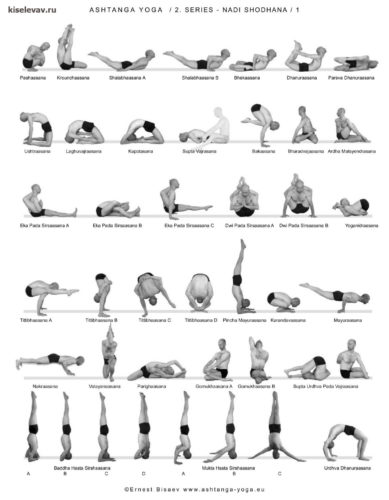 Все о сериях Аштанга виньясы йоги: особенности, фото и видеоролики