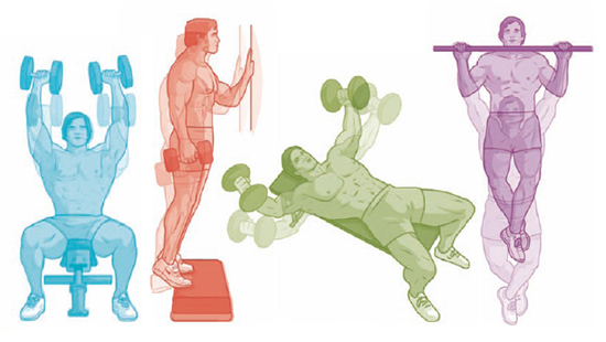 Секретная тренировка Арнольда Шварценеггера: 4 шага к &laquo;Мистеру Олимпия&raquo;