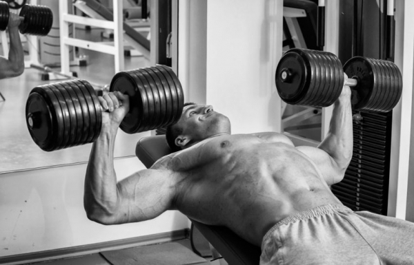 Программа тренировок для эктоморфа