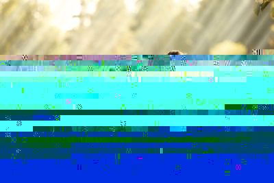 Начните день с утренних медитаций: эффективные и простые практики для женщин Начните день с утренних медитаций: эффективные и простые практики для женщин