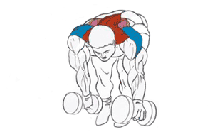 Эффективные упражнения для плеч