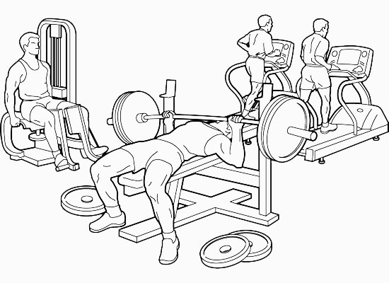 Правила поведения в тренажерном зале, на которые многие плюют Правила поведения в тренажерном зале, на которые многие плюют