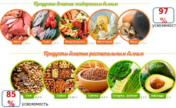 Белковые коктейли для набора мышечной массы. Рецепты, цены, какие купить