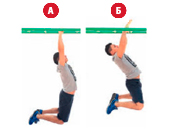 Тренировки на брусьях для начинающих и профессионалов