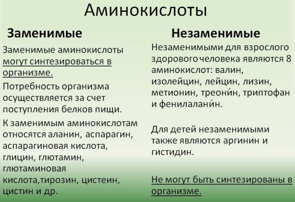 Белковые коктейли для набора мышечной массы. Рецепты, цены, какие купить