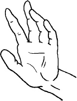 Какие мудры делать для успеха и удачи во всем? Какие мудры делать для успеха и удачи во всем?