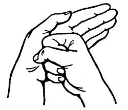 Эффективная защита от негативного воздействия: мудра “Щит Шамбалы” Эффективная защита от негативного воздействия: мудра “Щит Шамбалы”