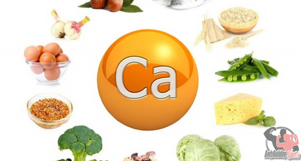 Как кальций поможет поднять уровень тестостерона Как кальций поможет поднять уровень тестостерона