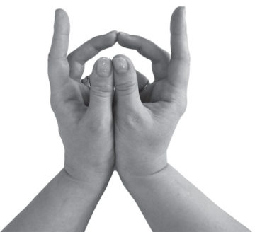 Для чего и как выполнять мудру “Бесстрашный тигр”? Для чего и как выполнять мудру “Бесстрашный тигр”?