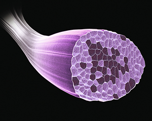Три шага к большому бицепсу: правильная техника прокачки рук