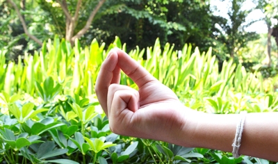 Очень мощная мудра Кубера для исполнения желаний и привлечения богатств