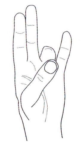 Какие делать мудры для желудка и пищеварения?