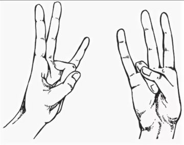 Как делать мудру «Окно мудрости»? Как делать мудру «Окно мудрости»?