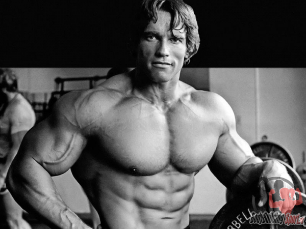 Арнольд Шварценеггер &ndash; Рост, вес, бицепс, грудь, жим, антропометрия и силовые показатели