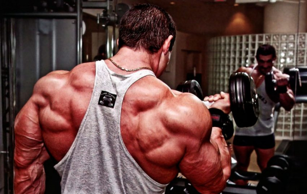 Программа тренировок Фулбоди