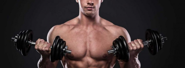 Программа тренировок для эктоморфа