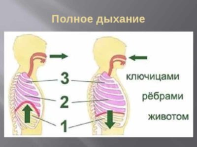 Мощное воздействие на всех уровнях &ndash; освойте технику выполнения полного йоговского дыхания