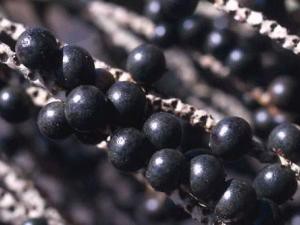 Ягоды асаи для похудения